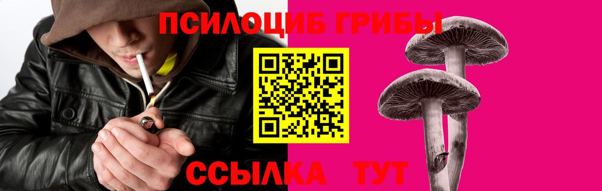 Сунжа  Псилоцибиновые грибы Psilocybine cubensis  Вход с VPN  купить закладку  Псилоцибиновые грибы Psilocybine cubensis 