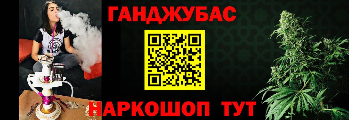 Конопля сатива Сунжа